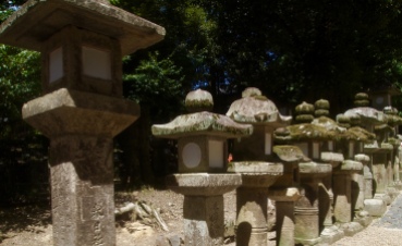 stone lanterns on the path to Kasuga Taisha Shrine