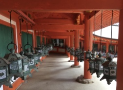 lanterns at Kasuga Taisha Shrine