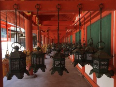 lanterns at Kasuga Taisha Shrine