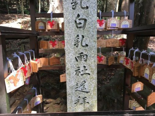 ema at Wakamiya Jinja Shrine