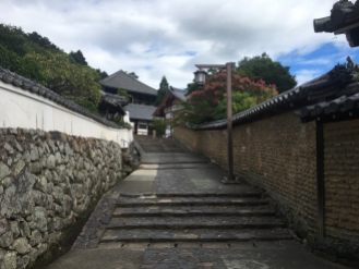 walking to Nigatsu-dō